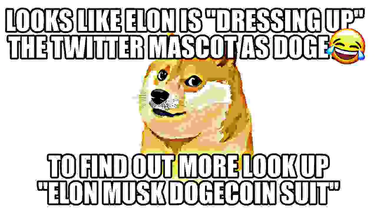 Looks like Elon is "dressing up" the twitter mascot as doge 😂 to find out more look up "Elon Musk dogecoin suit"