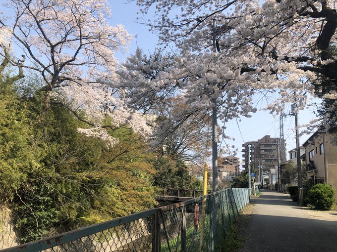 æ¡ðžå²ããŠãð