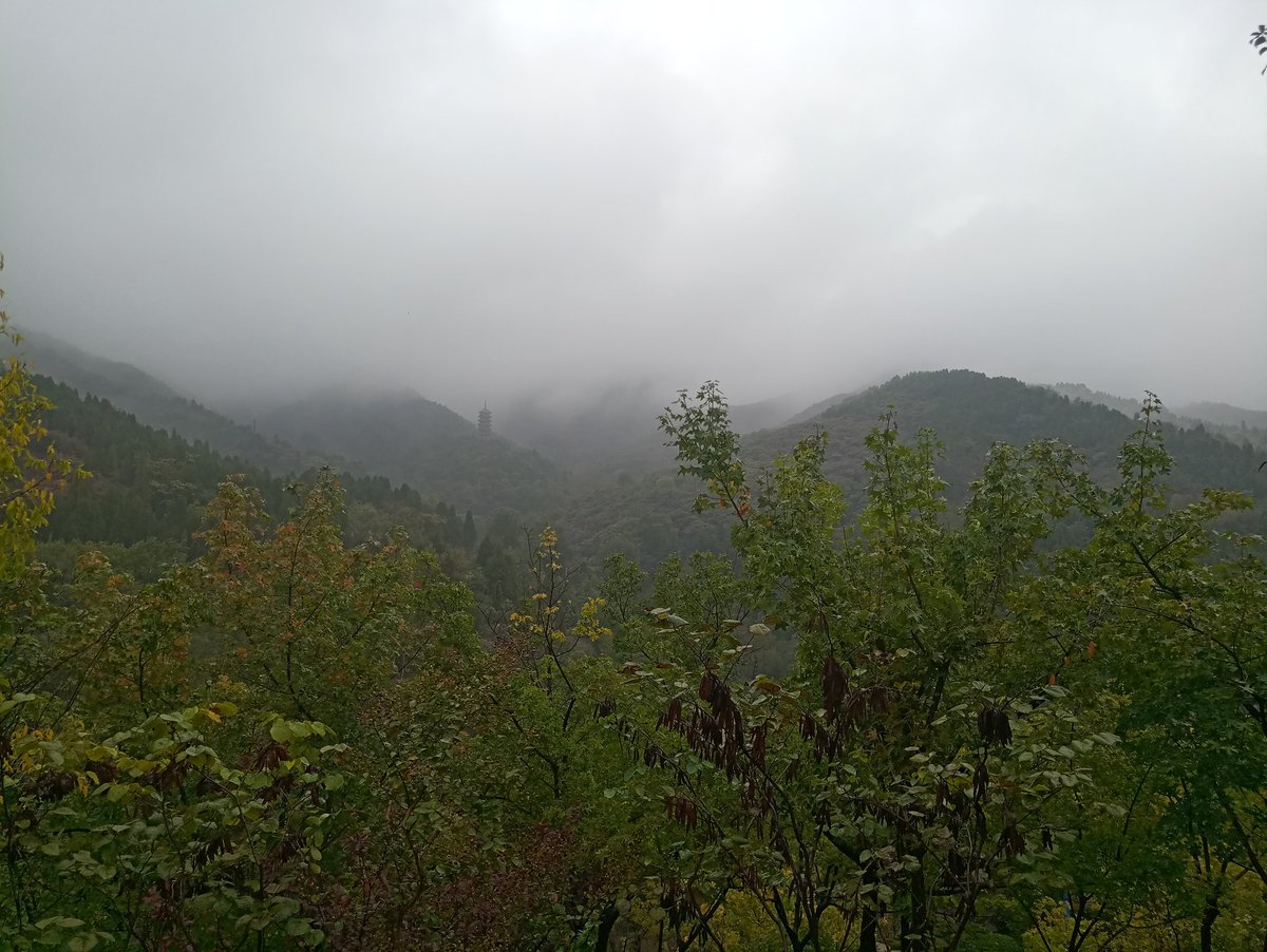 jindou2257's tweet photo. 春雨贵如油 https://t.co/eFmL0gIM2f