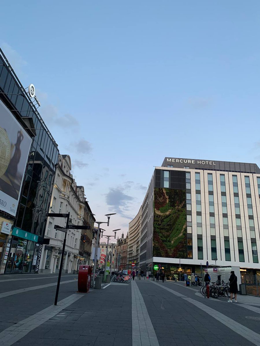 Good morning my #NFTFam 💛
Which city do you think is in the photo?🏙️😁
Have a nice day 🤌🏼