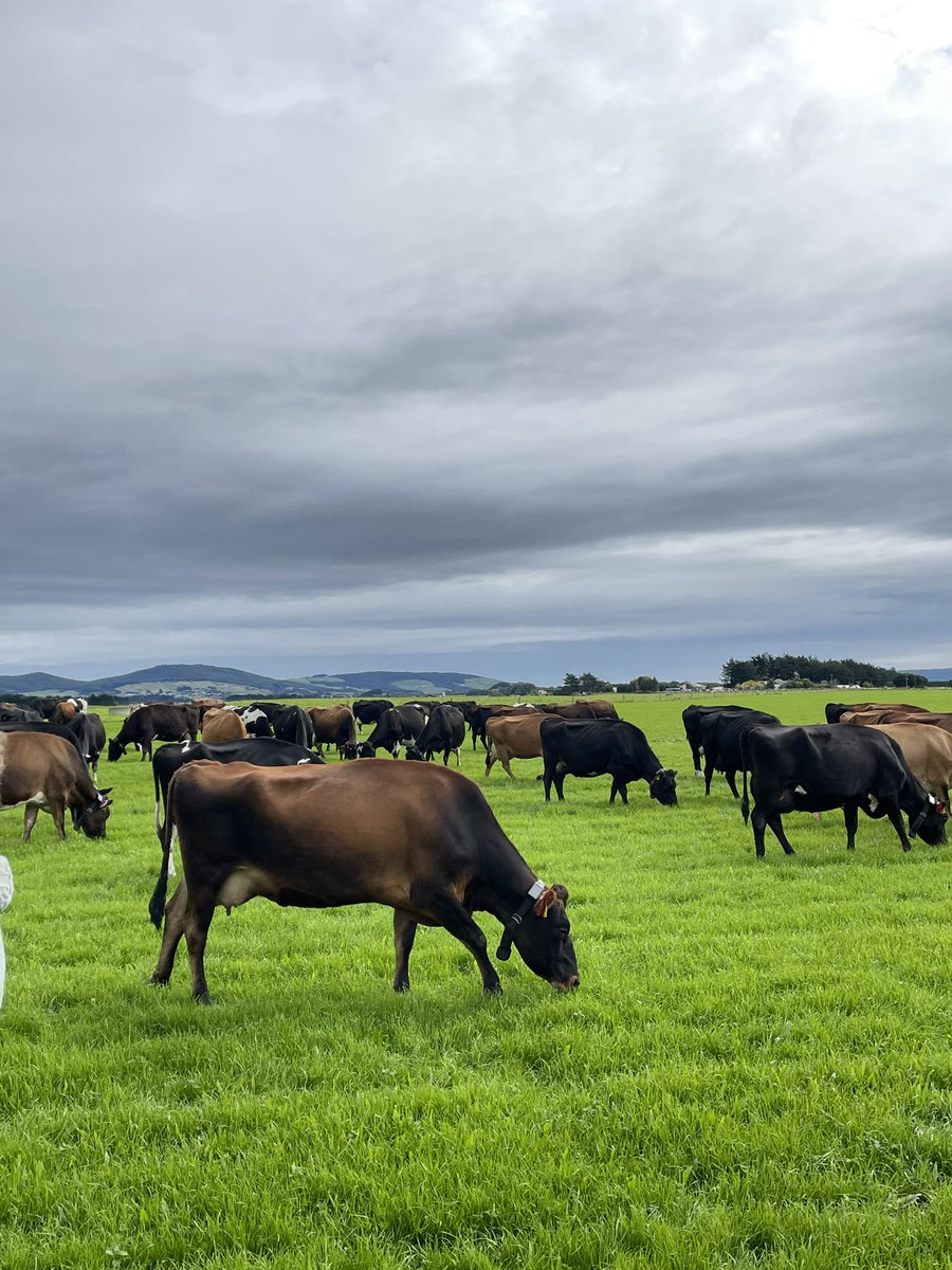 Johnny Gardner tweet media