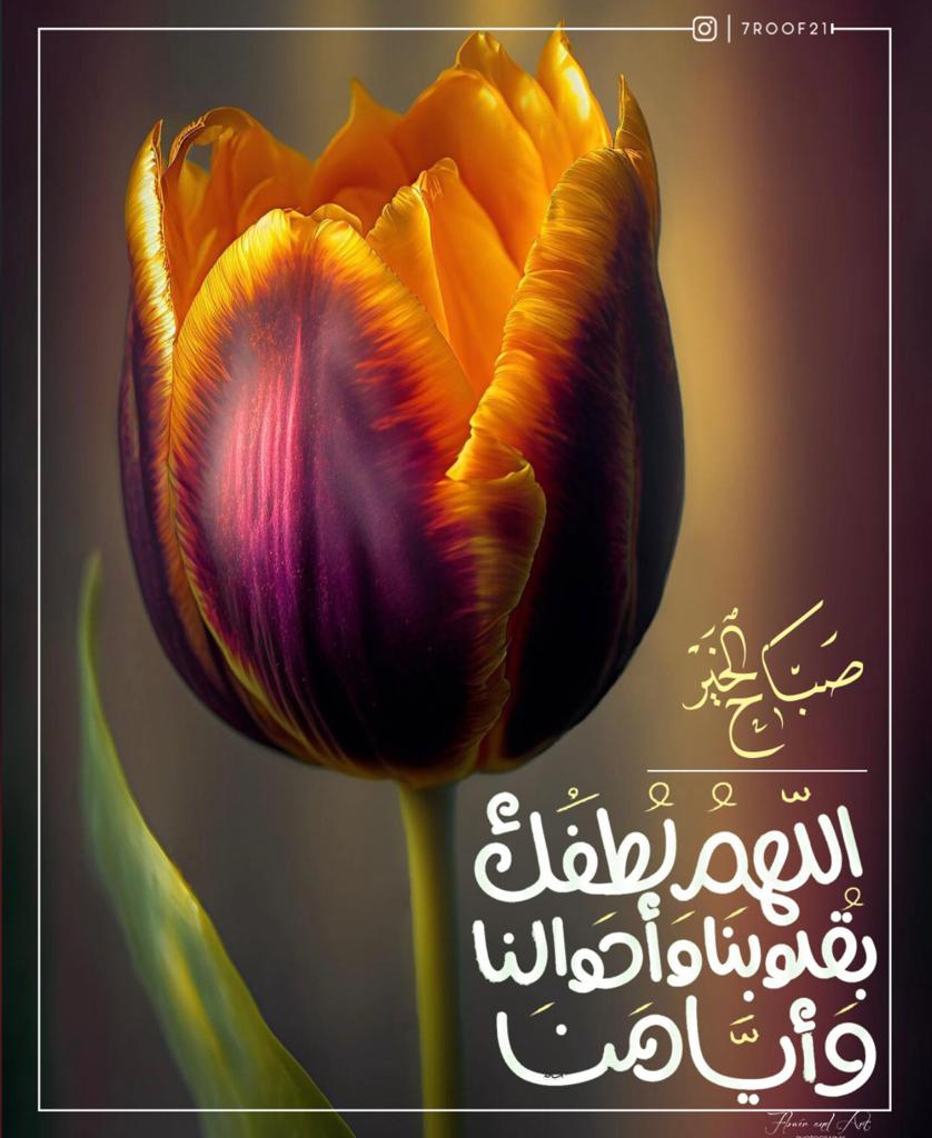 dubaidxb154's tweet photo. https://t.co/uQdtwMJPP0