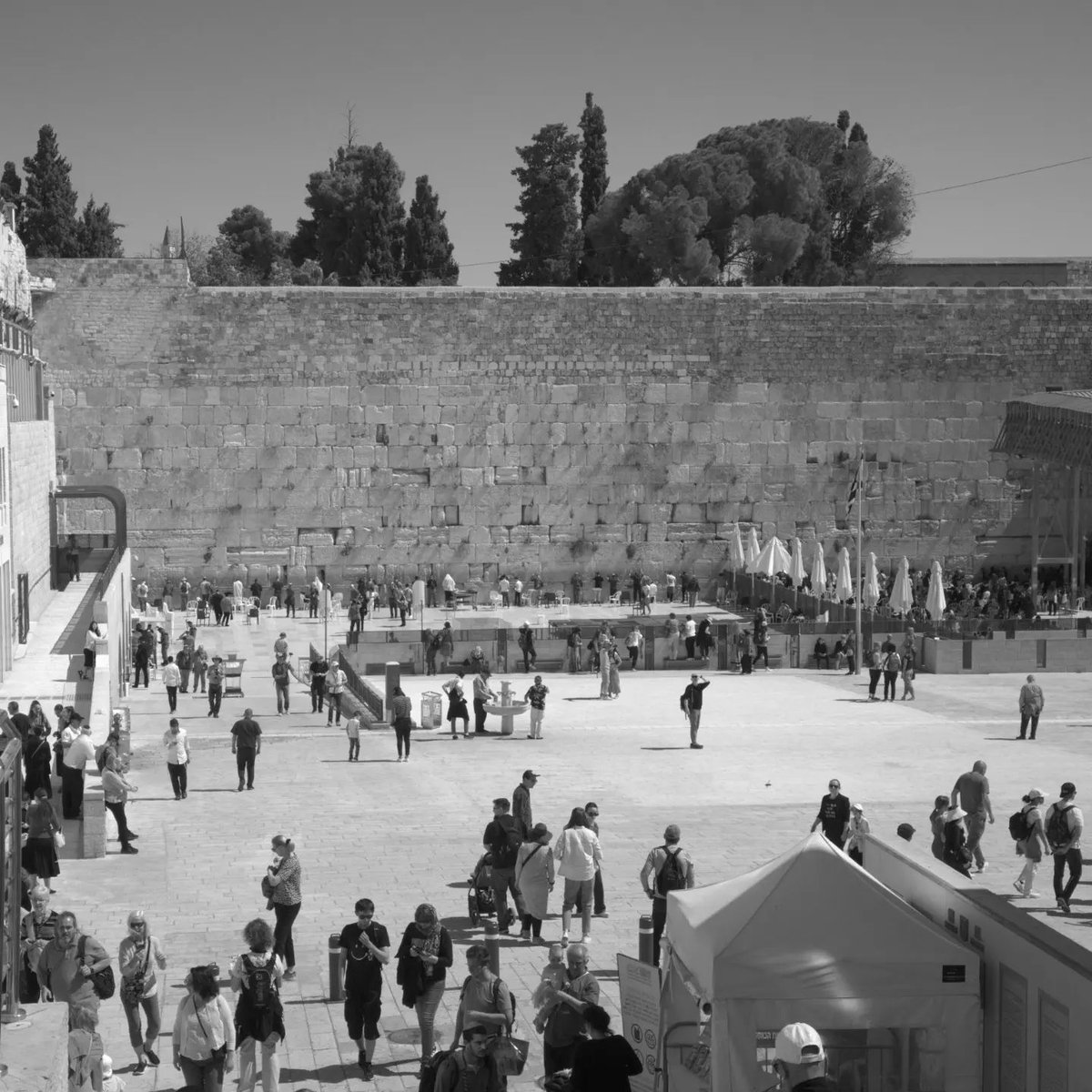 MarcoFosci's tweet photo. Jerusalem, The Western Wall, the holiest site in Judaism, a portion of the ancient limestone wall that remains from the Second Temple times. The faithful reach for the large stones to leave prayer sheets in the cracks.
—
#jerusalem #wailingwall #westernwall #kotel #kosel #judaism https://t.co/NScyV7E2li