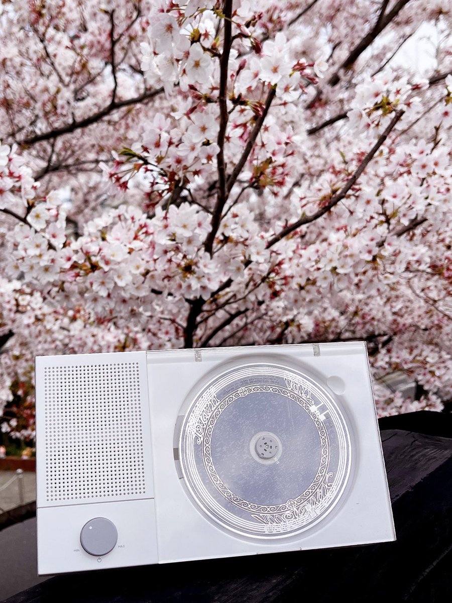 TINYL_JP's tweet photo. #SPLIT と桜🌸

週末、おでかけ時相棒が増えました🎼🌎💃
#外出 #音楽と人 #CDプレーヤー https://t.co/pF51evhBtW
