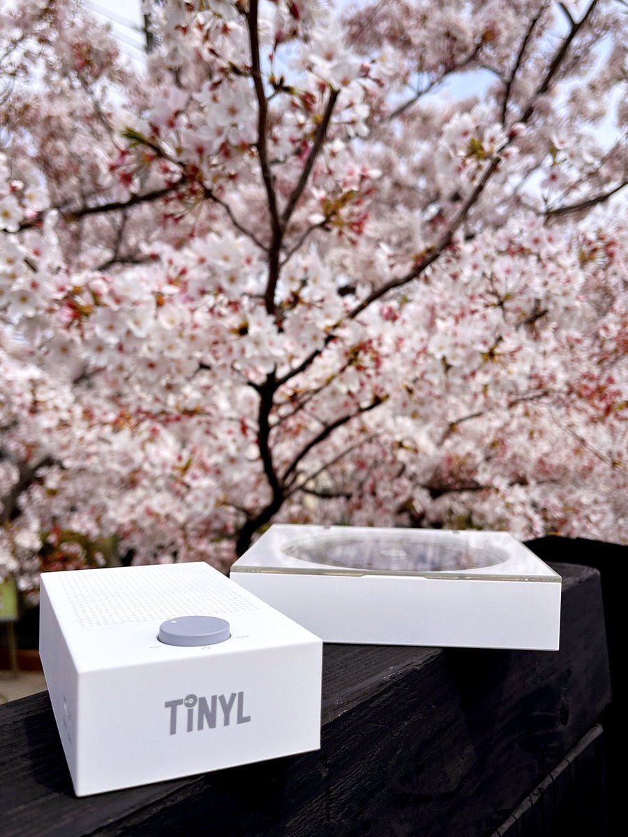TINYL_JP's tweet photo. #SPLIT と桜🌸

週末、おでかけ時相棒が増えました🎼🌎💃
#外出 #音楽と人 #CDプレーヤー https://t.co/pF51evhBtW