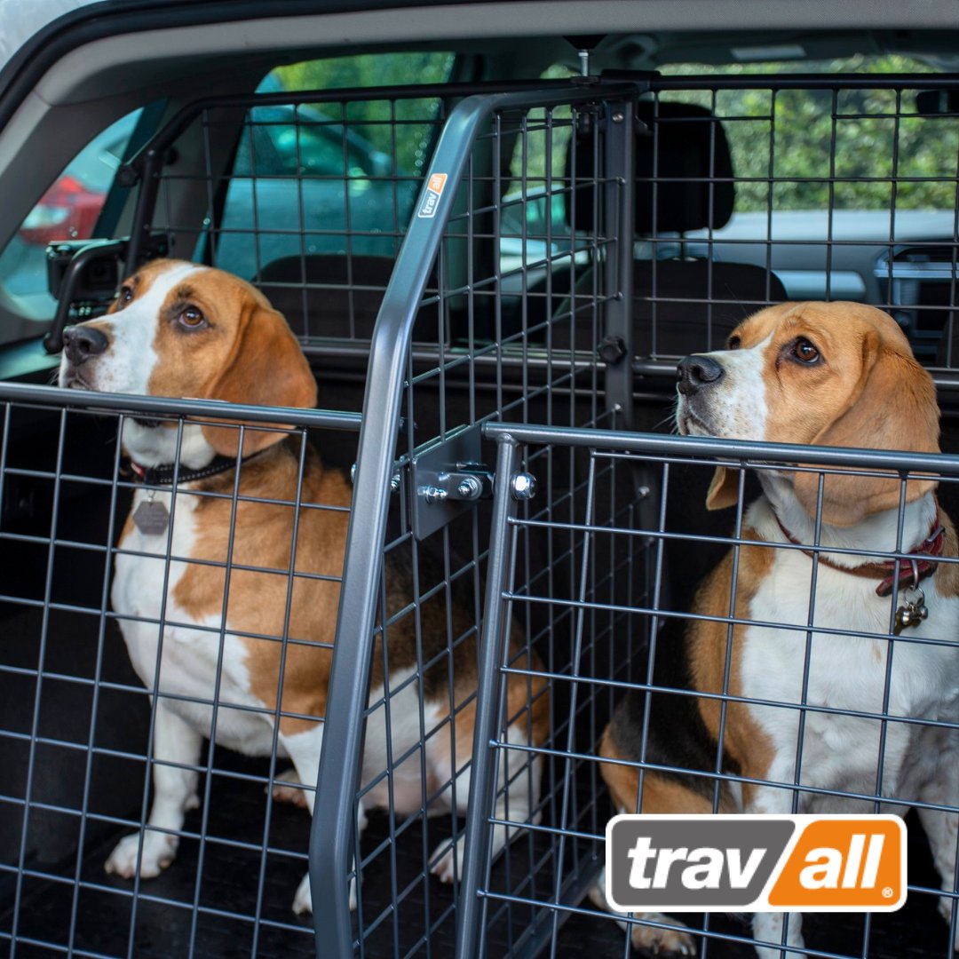Travall_DE's tweet photo. Für alle, die mehrere Vierbeiner im Kofferraum transportieren: Im Gegensatz zu einer Sonderanfertigung sind die Travall TailGate Heckgitter direkt lieferbar! 🚗🐕🐩 
https://t.co/kJc2CnRwV8 
.
#zweithund #hunde #hundebesitzer #hundefreunde #hundeleben #enjoythejourney https://t.co/TMQP3q4j7Y