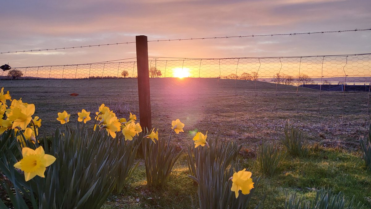 Ｋａｔｉｅ Ｗｉｌｓｏｎ tweet media