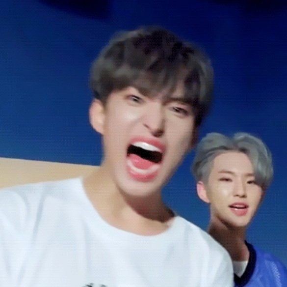 qtdkyeoms's tweet photo. they haven't announced the world tour yet, but i'm already nervous with the ticketing. IT'LL BE A BLOODY WAR WITH HOW HUGE SEVENTEEN HAVE BECOME AND MORE CARATS ARE SLIPPING TO THE DIAMOND LIFE LIKE OMG https://t.co/kItK2iMBUQ
