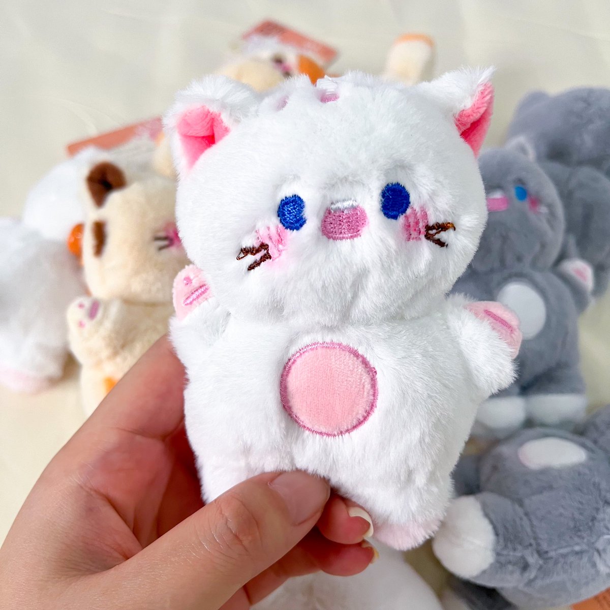 jjustShop's tweet photo. ✨พร้อมส่ง✨
พวงกุญแจน้องเหมียว🐱
บีบพุงน้องแล้วตะมีเสียงปิ๊บๆคับ
ค่าตัว130฿ค่า
ค่าส่งลทบ.35 ems.50 flash45
สนใจจิ้มลิ้งค์ได้เลยค้าบบบบบ
https://t.co/Tr4kWV2JHF
#พร้อมส่ง #ตุ๊กตา #ตุ๊กตา10cm #ของขวัญวันเกิด #ของขวัญ #พวงกุญแจ https://t.co/POzMa93HjI