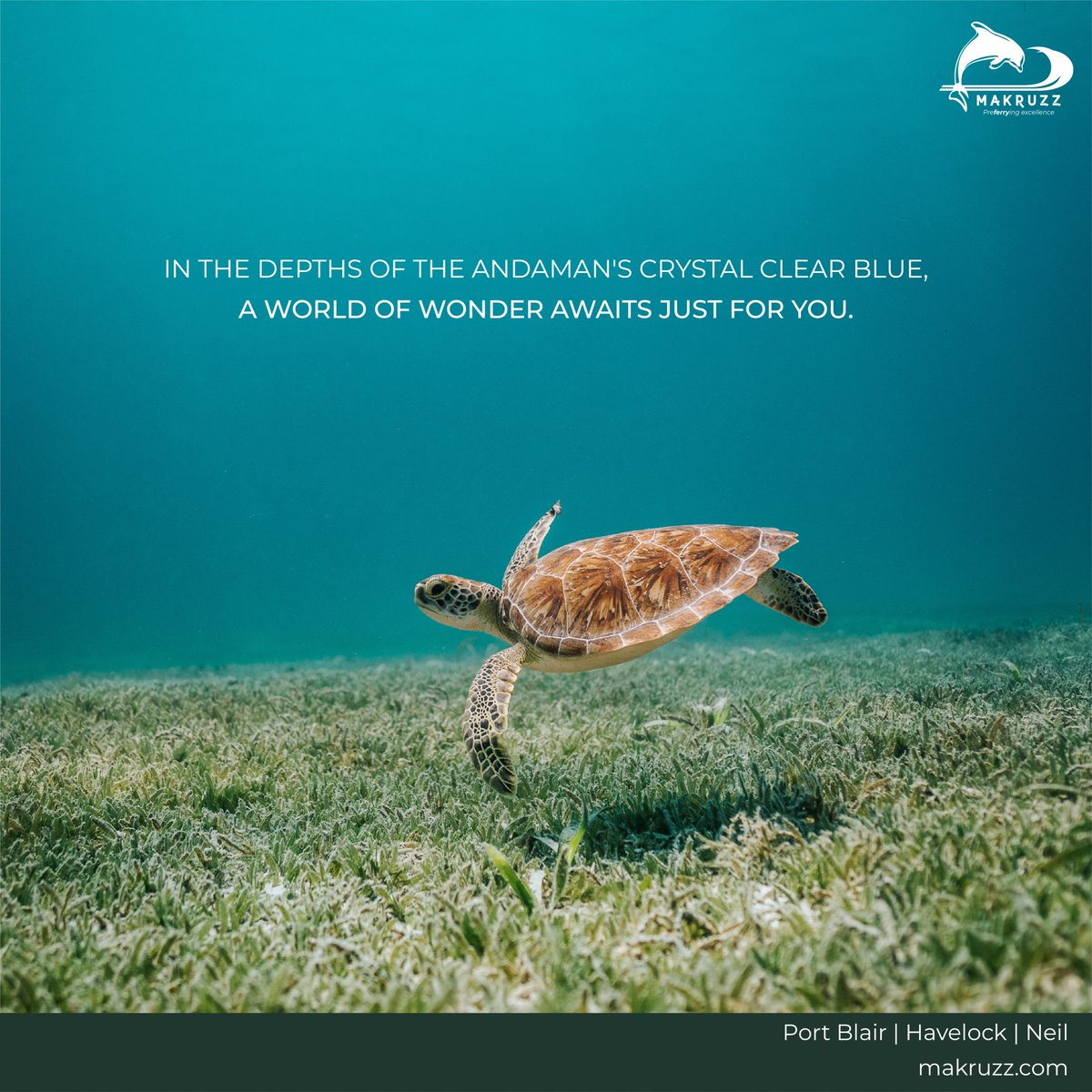 MVMakruzz's tweet photo. Dipping below the surface of the Andaman's turquoise waters is like entering a dream world. As you explore the depths of this underwater wonderland, you can't help but be awed by the sheer beauty and diversity of life that surrounds you.
#Makruzz #Andamans #Ferry #Andamansbeauty https://t.co/2VyLQdv4vt