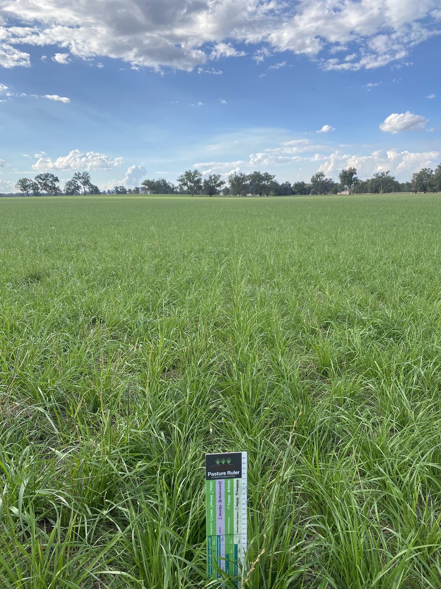 Alex Tier tweet media