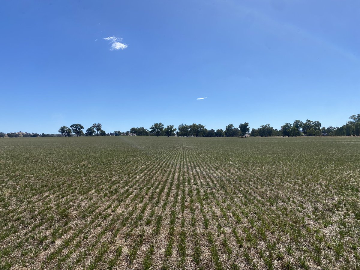 Alex Tier tweet media