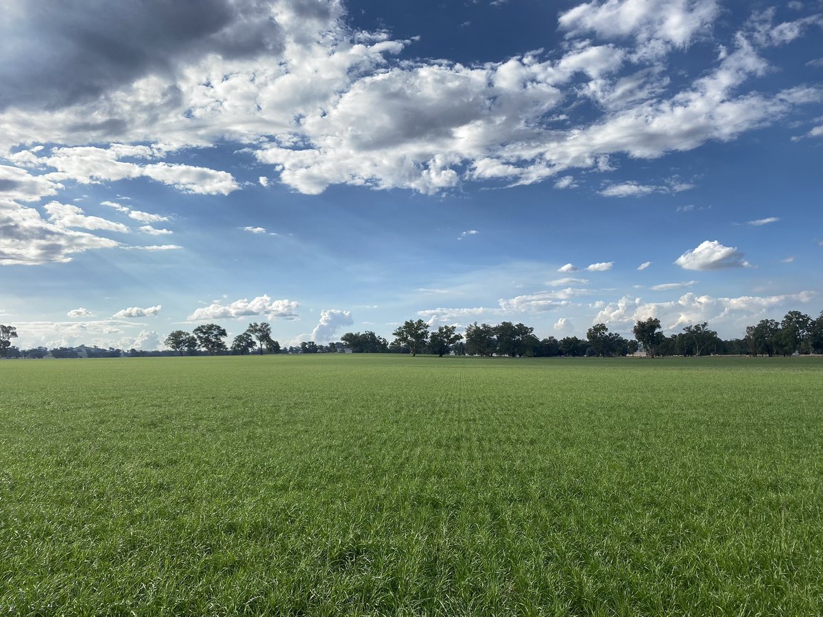 Alex Tier tweet media