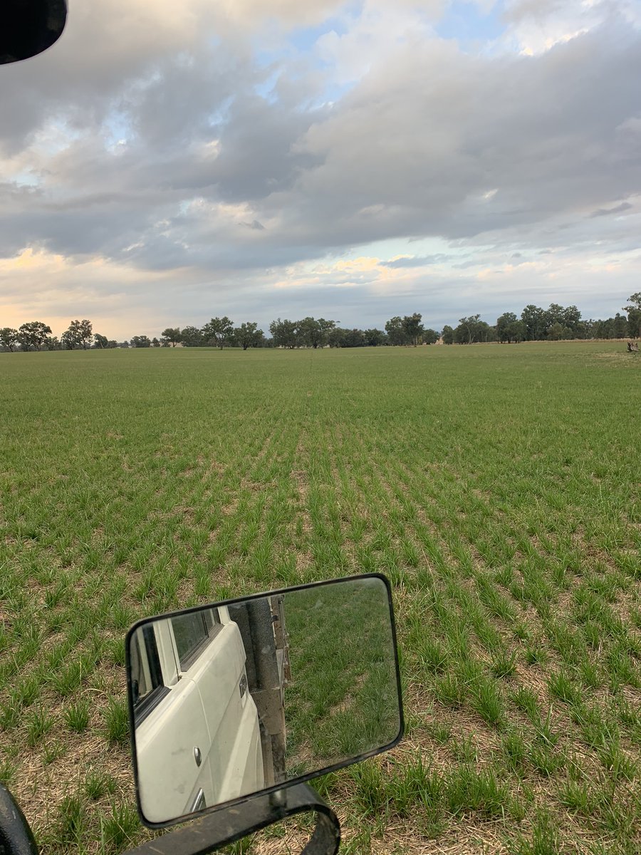 Alex Tier tweet media