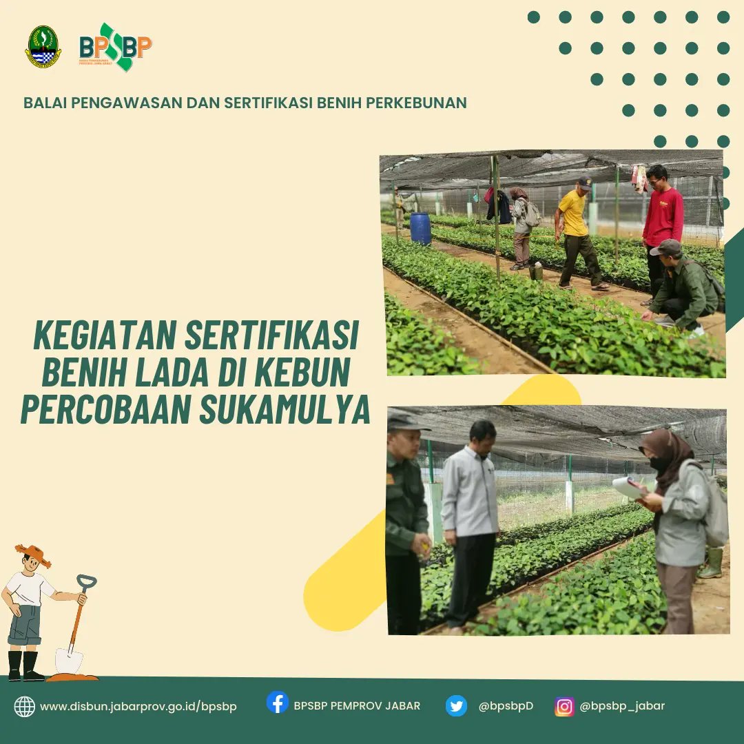 BpsbpD's tweet photo. Selamat Siang #wargibun π±π
Selasa (04/04) Tim Pengawas Benih Tanaman (PBT) di UPTD Balai Pengawasan dan Sertifikasi Benih Perkebunan (BPSBP) melakukan Sertifikasi benih lada di kebun percobaan Sukamulya Kabupaten Sukabumi.
#bpsbp #bpsbpjabar #disbun #disunjabar #perkebunjaya https://t.co/XKGH9raaJQ