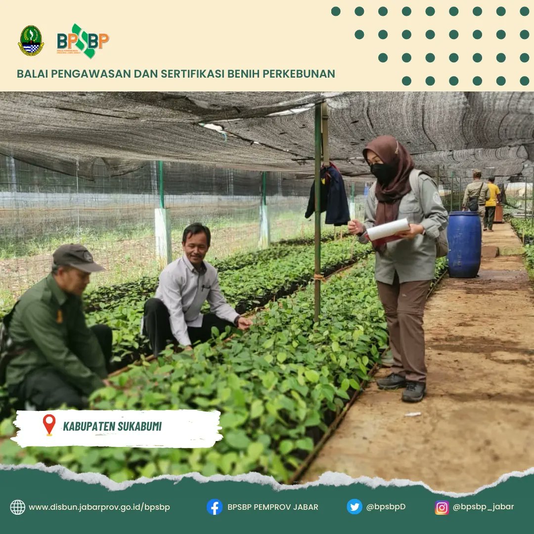 BpsbpD's tweet photo. Selamat Siang #wargibun π±π
Selasa (04/04) Tim Pengawas Benih Tanaman (PBT) di UPTD Balai Pengawasan dan Sertifikasi Benih Perkebunan (BPSBP) melakukan Sertifikasi benih lada di kebun percobaan Sukamulya Kabupaten Sukabumi.
#bpsbp #bpsbpjabar #disbun #disunjabar #perkebunjaya https://t.co/XKGH9raaJQ