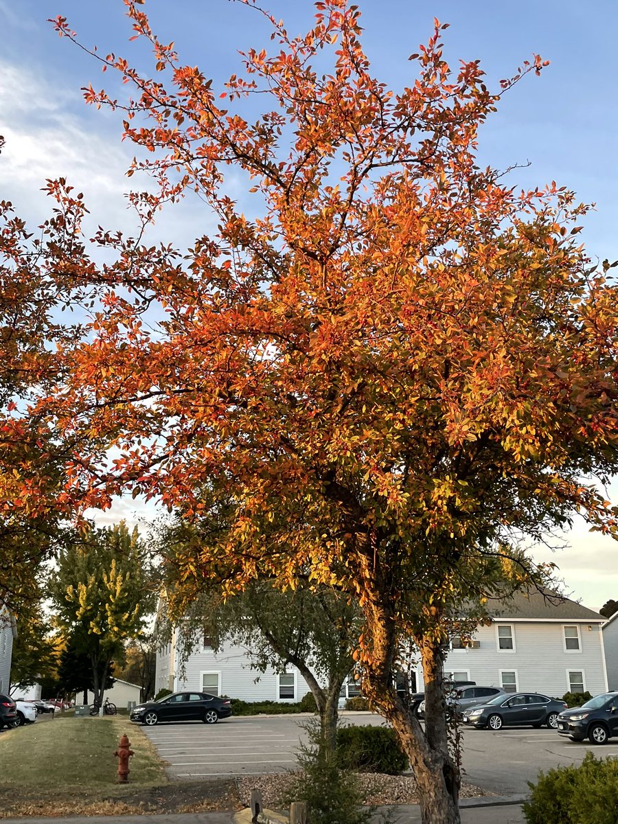 StarkBecca's tweet image. Wait can we do this but #aftg characters?