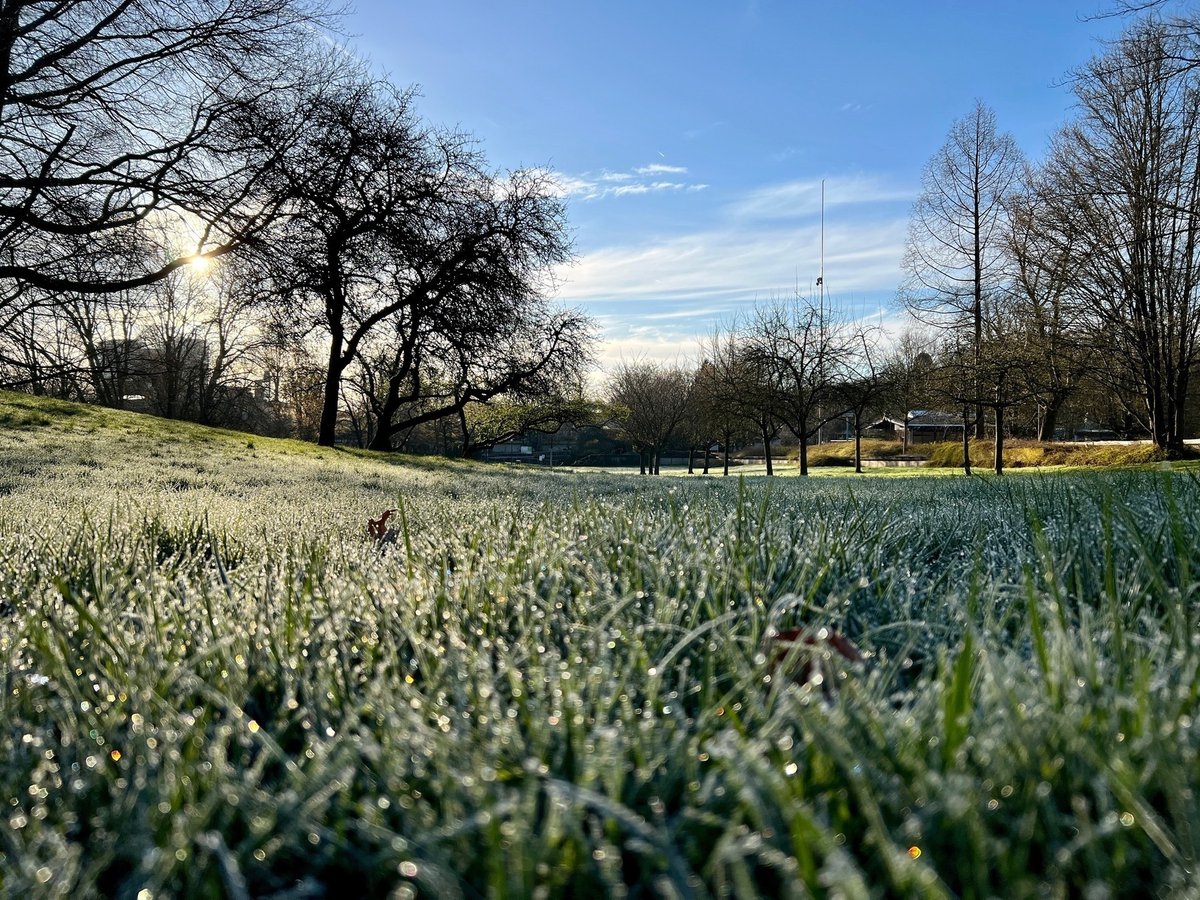 Konrad Lischka tweet media