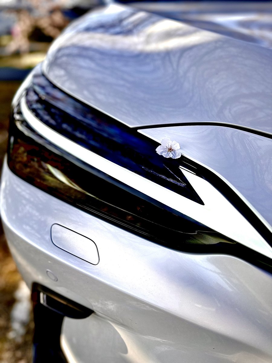 lexusVL250's tweet photo. 桜とパシャリ https://t.co/TBKYvymsja