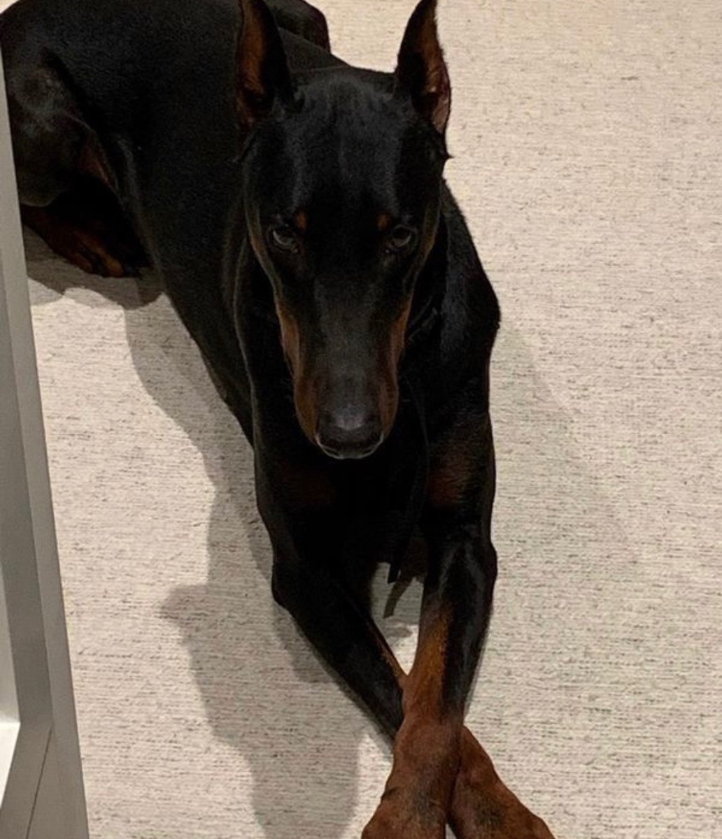 DRIP (@dript3r) on Twitter photo 