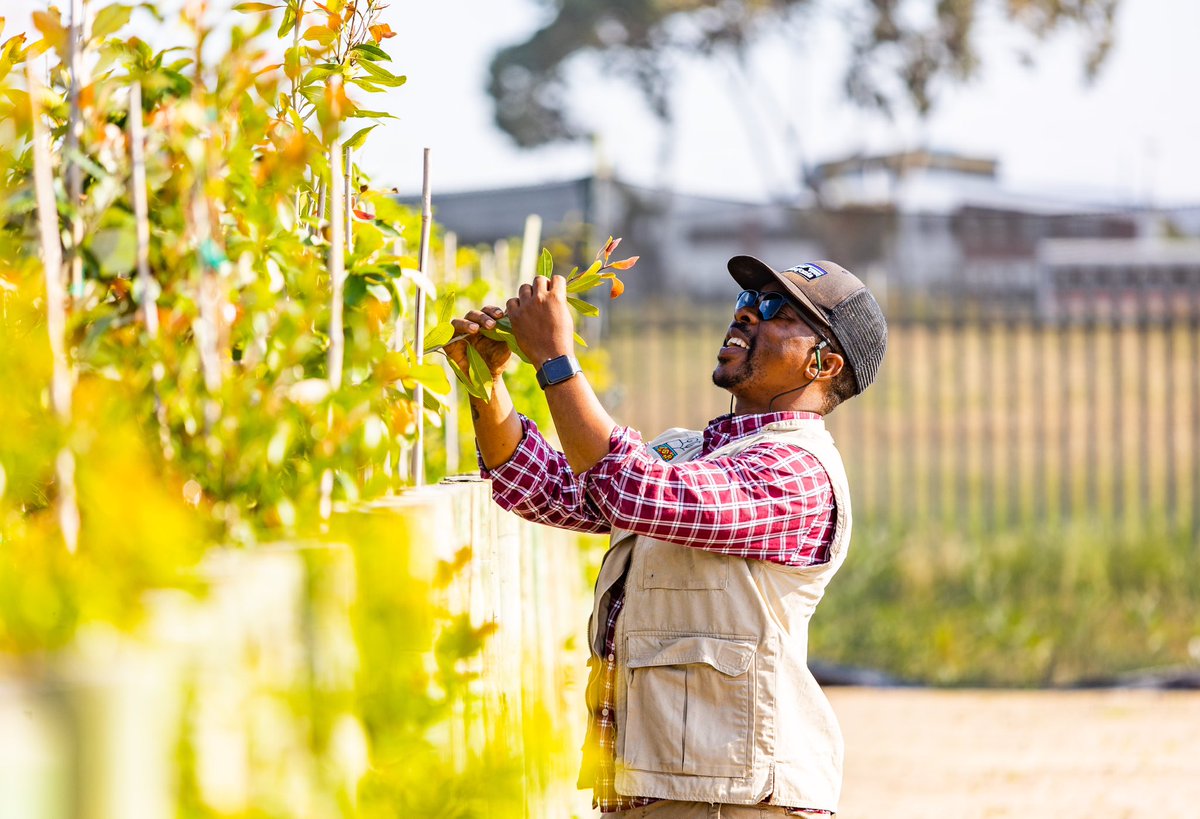 Hello Running World! 

The <a href="/CTMarathon/">Cape Town Marathon</a> preparations have officially started. 

#makingacomeback #runningtreecampaign #movingforest #greeningtownships #RunningWithTumiSole