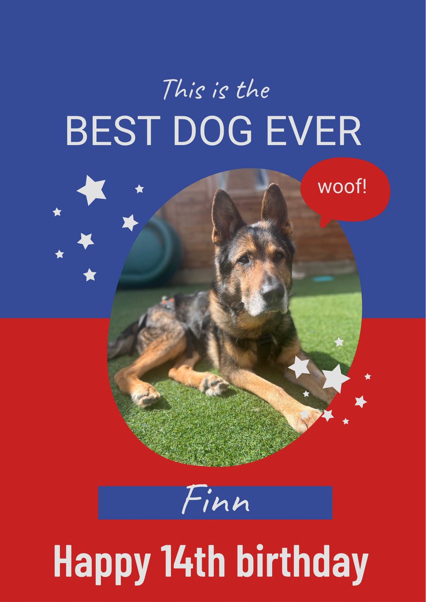 Fabulous Finn®️ tweet media