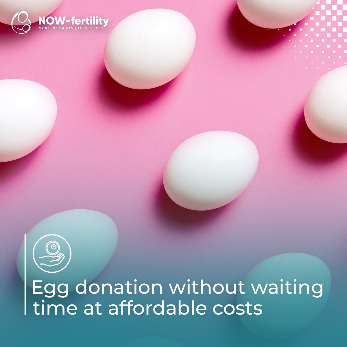 NOW-fertility tweet media