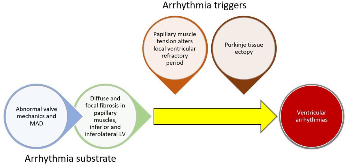 JCDD_MDPI's tweet photo. #jcdd Editor's Choice Articles https://t.co/RC7qqxJrrv
"#Arrhythmic #MitralValveProlapse and #MitralAnnularDisjunction: Clinical Features, Pathophysiology, Risk Stratification, and Management" https://t.co/fhOFvU6ZvB
#suddencardiacdeath #catheterablation https://t.co/NLoA4CHkre