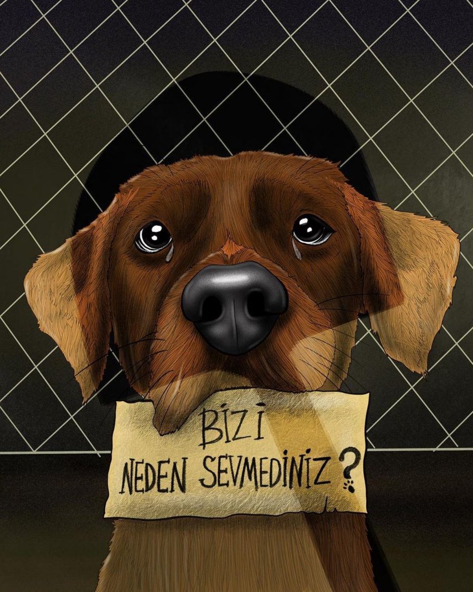 Bugün 4 Nisan #DünyaSokakHayvanlarıGünü 

Bir gün hayvana şiddet haberleri yerine, kutlama haberleri almak dileğiyle...

Serhat Okur'un gerçek bir Hayvan Hakları Yasası talebiyle yürüttüğü kampanyaya destek ol:
✍️ chng.it/xsNVHsRP