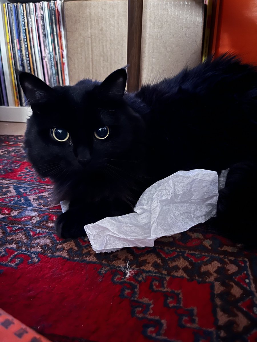 stared into the abyss and the abyss has beautiful eyes