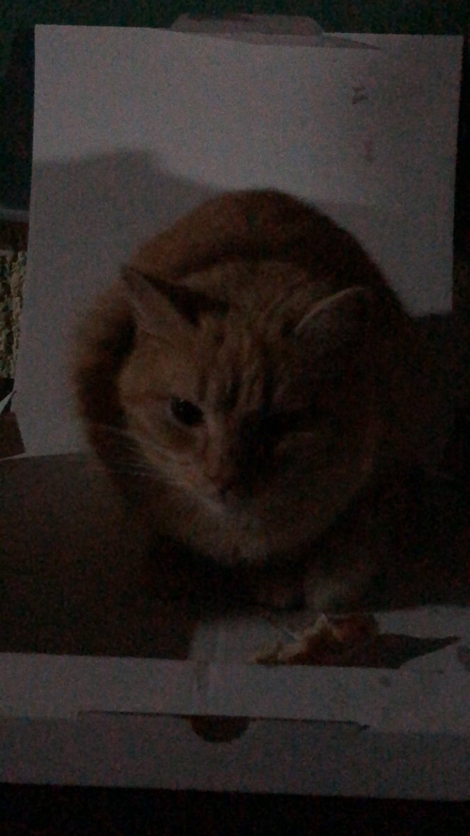 Kris | ENvtuber | Local ghost | Croatian | tweet media