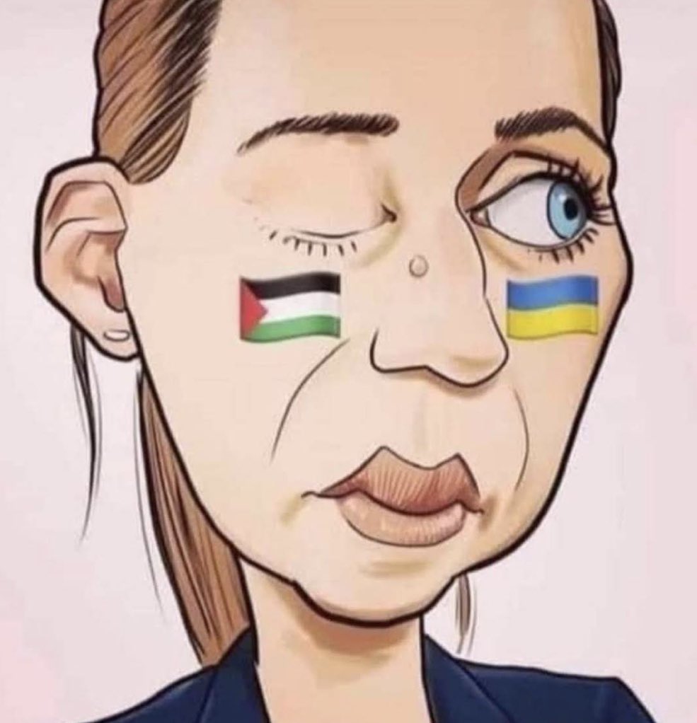 HalalNation_'s tweet image. This is the media 🫤