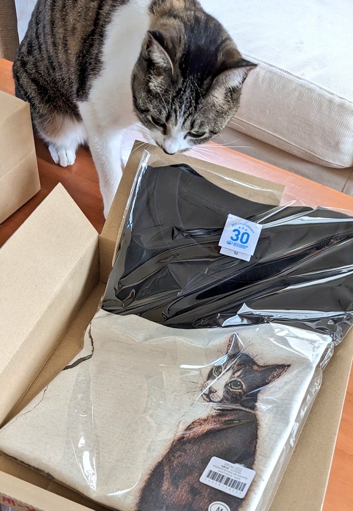 RUMBLEHORSES's tweet photo. Tシャツ届いたよ〜黒!
🐱「これ、わたし?」
👩「とっても似てるけど…違う猫ちゃんなのよ。」
#斉藤和義 #55stones
#speedstarrecords30thanniversary
#坂本千明 https://t.co/dQdADxZupL