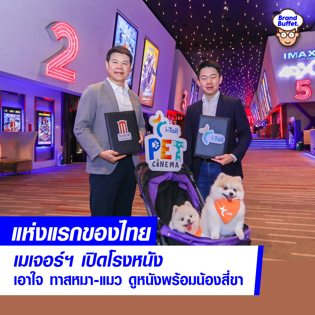 BrandBuffet's tweet photo. แห่งแรกของไทย! เมเจอร์ฯ เปิดโรงหนังเอาใจทาสหมา-แมว ดูหนังพร้อมน้องสี่ขา https://t.co/nVL7b6yZsZ #Major #PetHumanization #โรงหนัง #ทาสหมา #ทาสแมว #BrandBuffet https://t.co/O6YGikaI9D