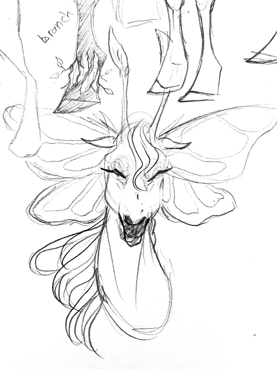 lottie 🍂 tweet media