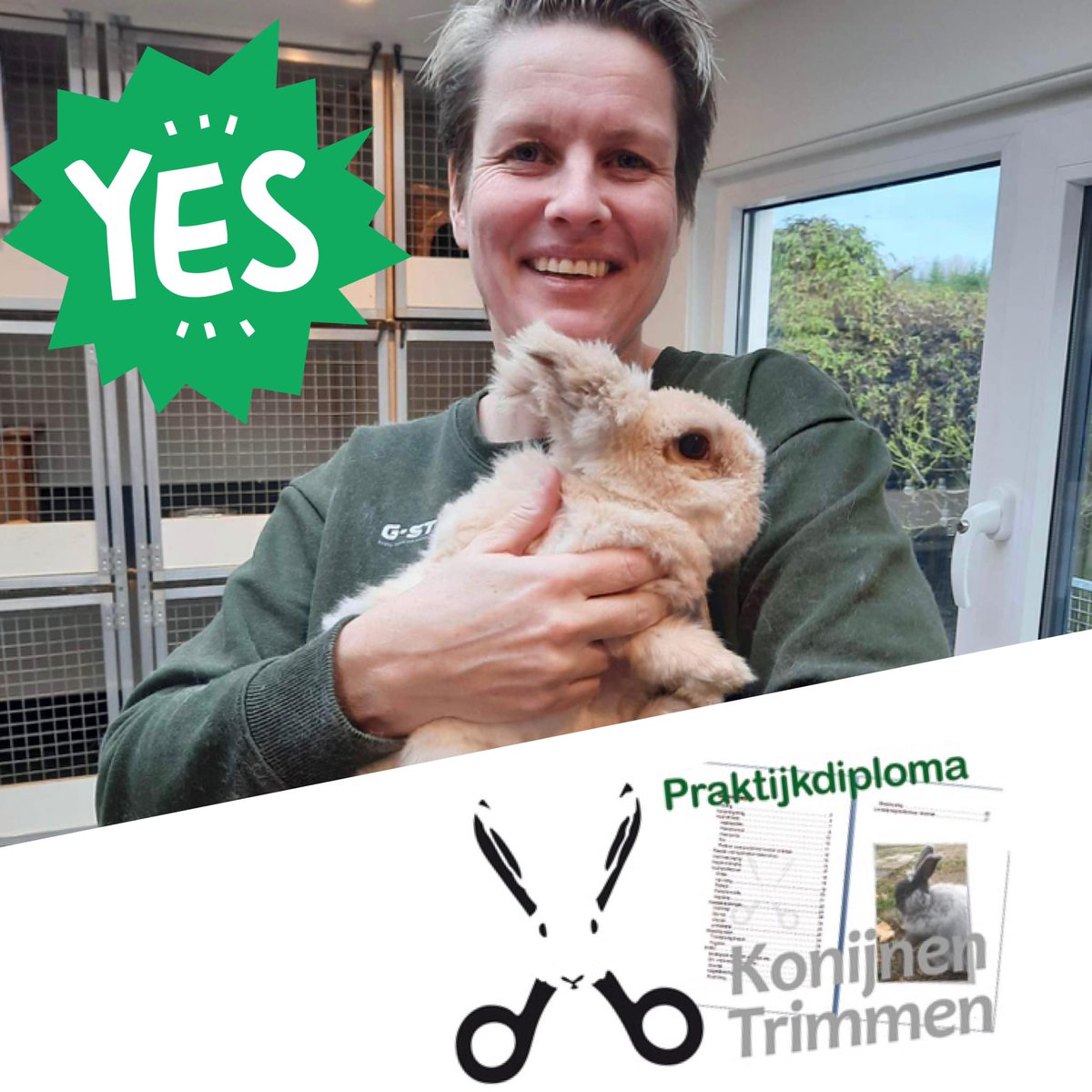 Tijd voor de kapper konijnen-adviesbureau.com/news/tijd-voor…
