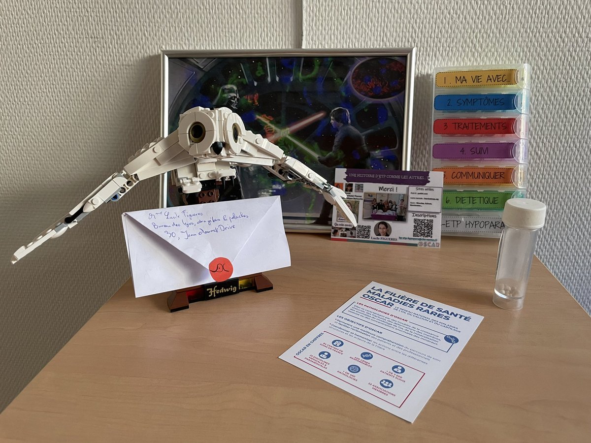 Suite à la labellisation, je suis très heureuse de porter un des nouveau Centre de Référence de la <a href="/FiliereOSCAR/">OSCAR</a> pour développer les prises en charge de patients atteints de pathologies parathyroïdiennes, lithiasiques ou atteints de tubulopathies. #auboulot 😊