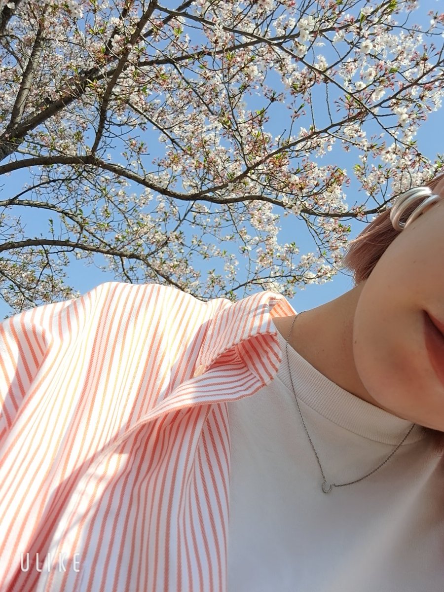 ___mh809's tweet photo. 天気良きでした！！
날씨 넘 좋았다 https://t.co/0tbimgWYlL