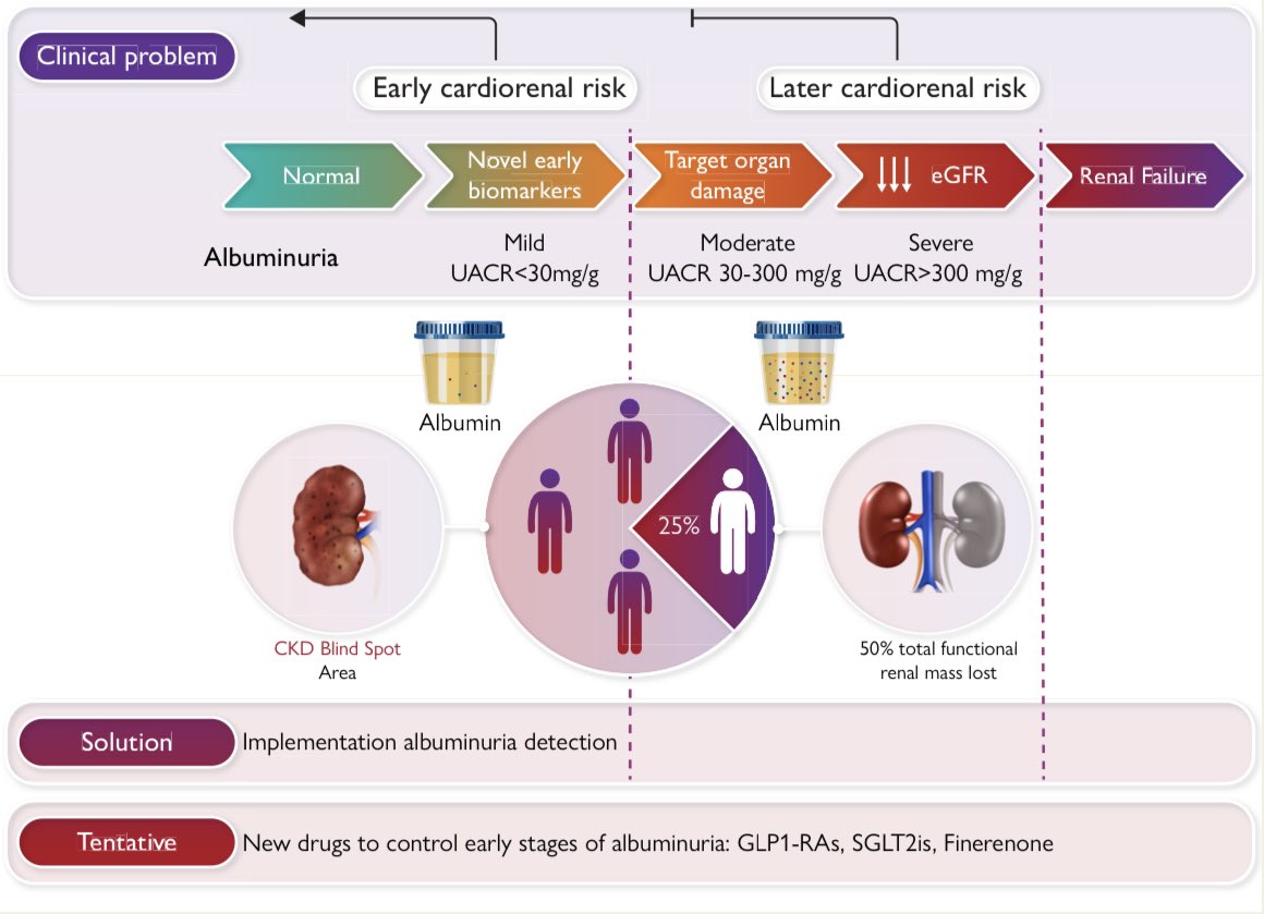 JTLLERGO's tweet photo. ⚠️ Prevention of cardiorenal damage: importance of albuminuria‼️

@ESC_Journals @secardiologia @SACardiologia @SENefrologia @riesgo_SEC @CardioRenalSEC @clinica_sec 

https://t.co/H6j0CwsGs9 https://t.co/p0pCInqhFv
