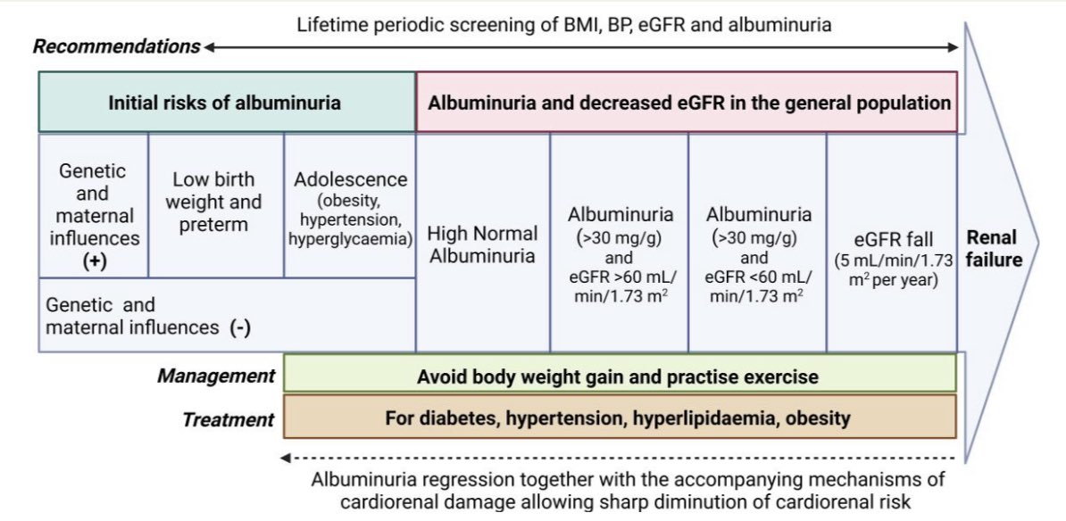 JTLLERGO's tweet photo. ⚠️ Prevention of cardiorenal damage: importance of albuminuria‼️

@ESC_Journals @secardiologia @SACardiologia @SENefrologia @riesgo_SEC @CardioRenalSEC @clinica_sec 

https://t.co/H6j0CwsGs9 https://t.co/p0pCInqhFv