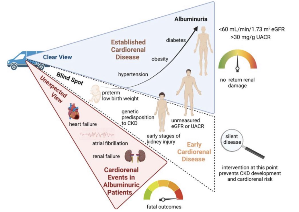 JTLLERGO's tweet photo. ⚠️ Prevention of cardiorenal damage: importance of albuminuria‼️

@ESC_Journals @secardiologia @SACardiologia @SENefrologia @riesgo_SEC @CardioRenalSEC @clinica_sec 

https://t.co/H6j0CwsGs9 https://t.co/p0pCInqhFv