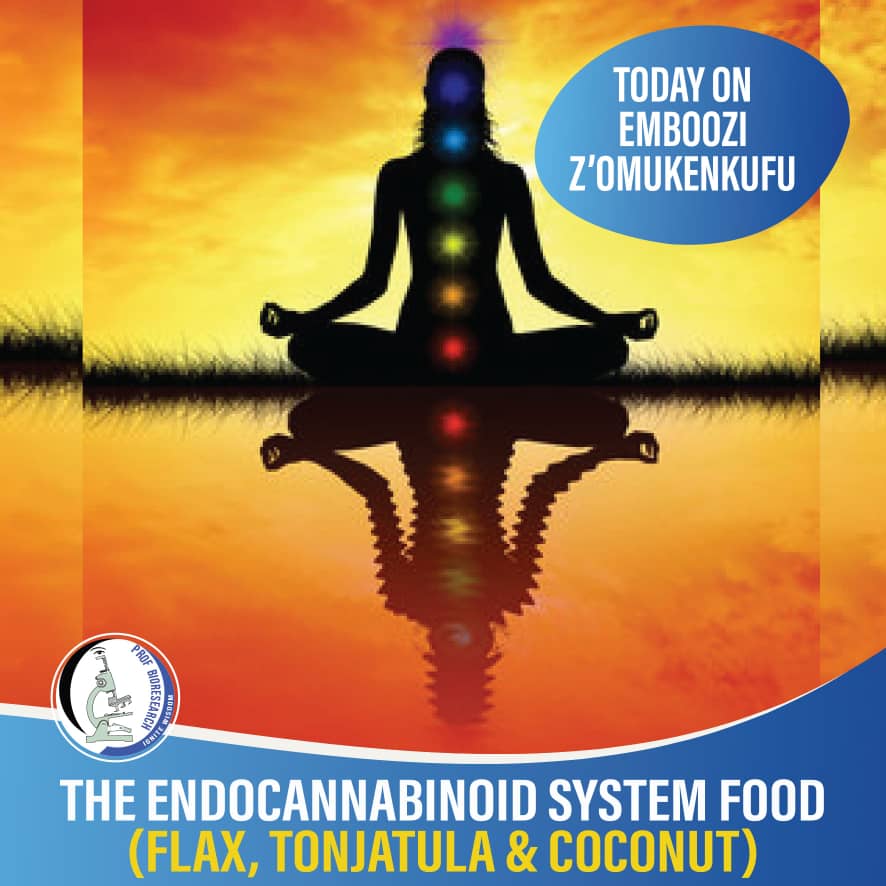 profbioresearch's tweet photo. THE ENDOCANNABINOID SYSTEM FOOD 

** THE STORY OF THE SPIRITUAL TRIO OILS ( FLAX, COCONUT $ TONJATULA  OILS) 

DO NOT MISS EMBOOZI Z'OMUKENKUFU

10:15  am  today on 87.9 Akaboozi fm.

 #  THE  PROF STORY # THE SPIRITUAL SCIENCE # META-PHYSICS https://t.co/G2V60bVqJE