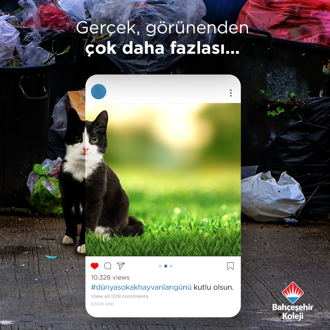 bahcesehir_k12's tweet photo. Sokak hayvanları için göstermek istediğin kadar güzel bir dünya mümkün! Bir kap su, bir kap mama ve biraz sevgi ile her şey değişebilir.

Dünya Sokak Hayvanları Günü Kutlu Olsun!

#bahçeşehirkoleji
#dünyasokakhayvanlarıgünü https://t.co/4ULggdQM3V
