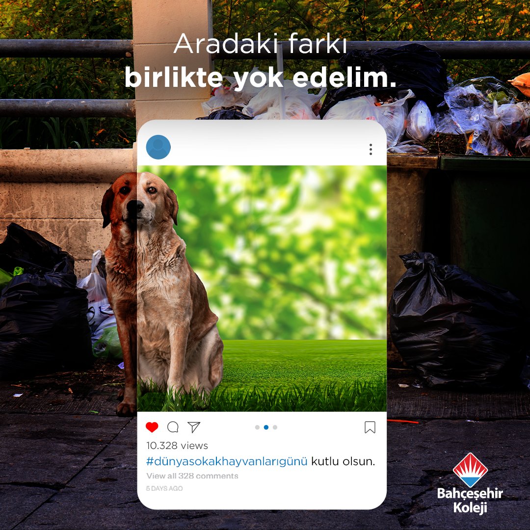 bahcesehir_k12's tweet photo. Sokak hayvanları için göstermek istediğin kadar güzel bir dünya mümkün! Bir kap su, bir kap mama ve biraz sevgi ile her şey değişebilir.

Dünya Sokak Hayvanları Günü Kutlu Olsun!

#bahçeşehirkoleji
#dünyasokakhayvanlarıgünü https://t.co/4ULggdQM3V