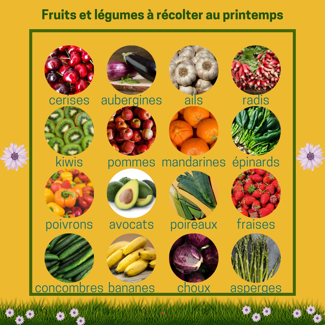 LExtrAreims's tweet photo. ✨[PARTAGE]✨

Et si on vous donnait quelques idées de fruits/légumes à mettre dans votre assiette au printemps ?😉
Aubergines, poivrons, fraises... De quoi vous mettre bien à l'aise !🌻

L'équipe de L'ExtrA.💛

#printemps #fruits #légumes #food #local #madeinmarne #reims https://t.co/NTMgxUQgCa