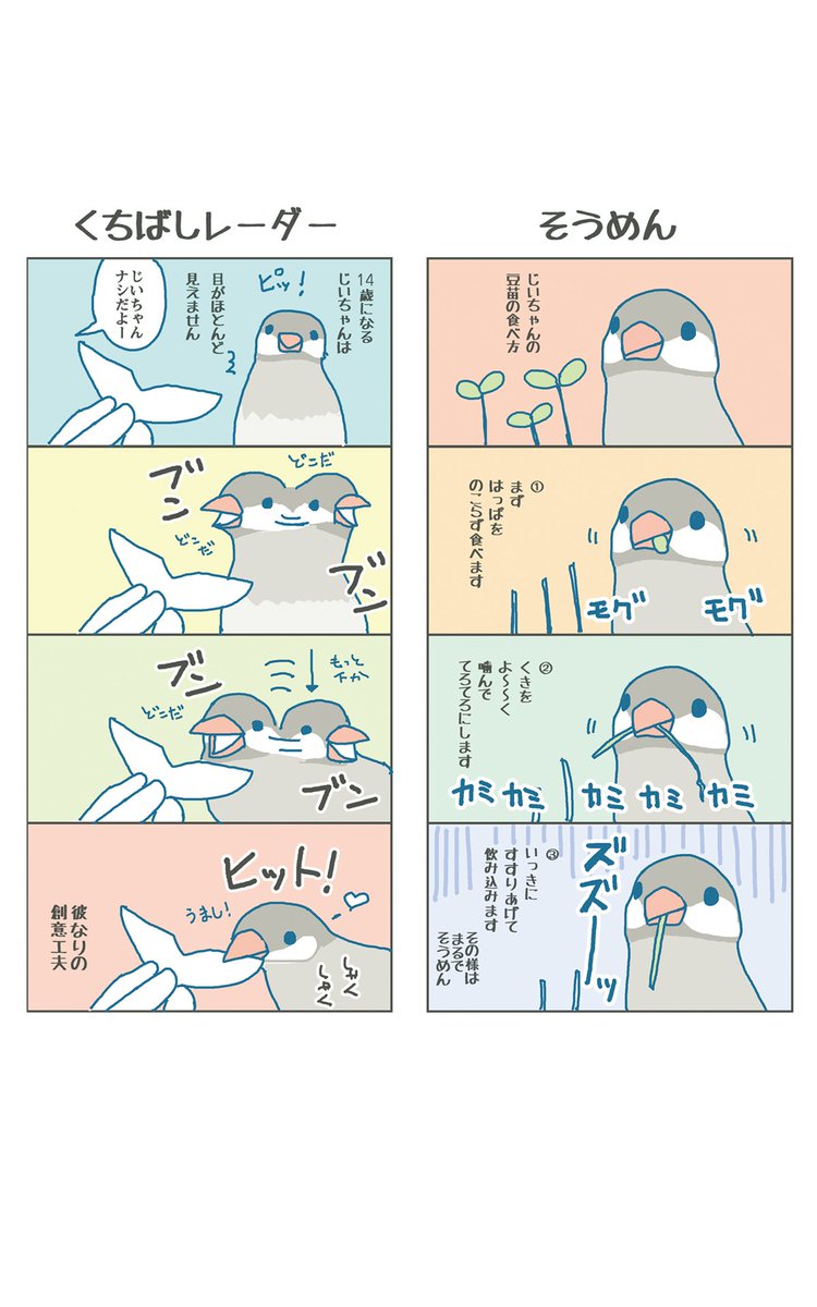 【固定用】

文鳥スタンプ一覧 https://t.co/pz3ww18FRT
文鳥紙本 https://t.co/CRKaluZQqt
電子書籍 https://t.co/wVX8E3r0bv
SUZURI https://t.co/bVaiawUxu5
FANBOX https://t.co/3H48zUqqiM

#Buncho #文鳥 