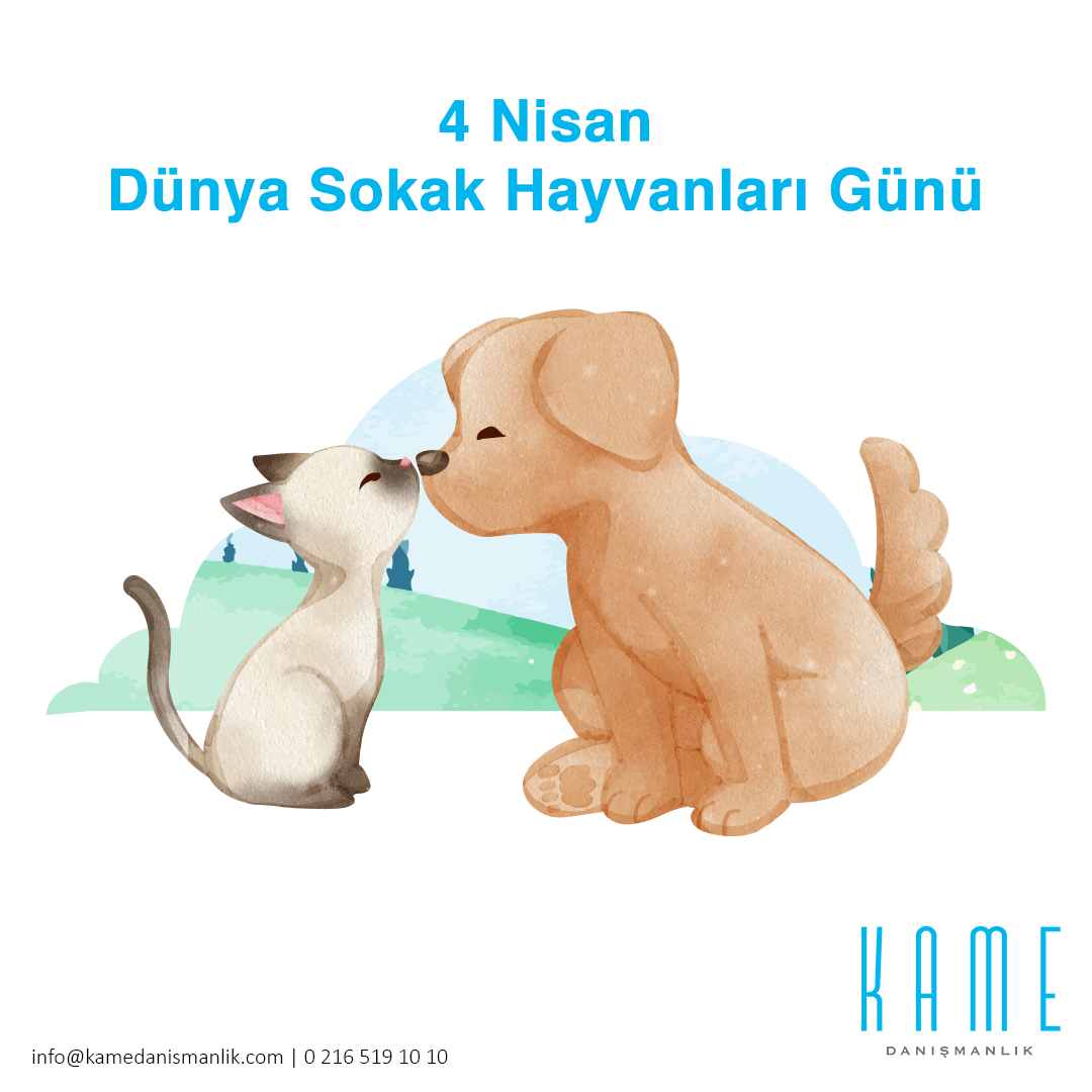 kamedanismanlik's tweet photo. Dünya Sokak Hayvanları Günü Kutlu Olsun ❤
#kamedanismanlik #kurumsalegitim #liderlik #kocluk #mentorluk #kisiselgelisim #satıs #finans #ekonomi #onlineegitim #dijitalegitim #danismanlik #mikroogrenme #egitim #gelisim https://t.co/1cCXIAHRXL