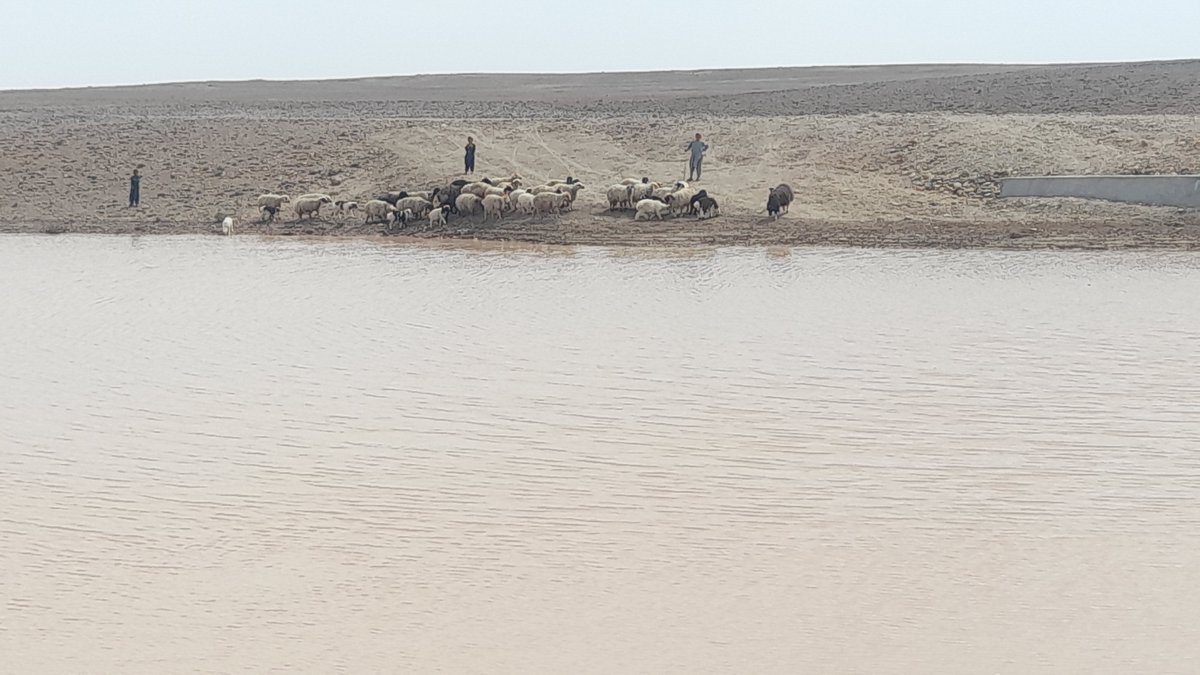 UNODC Afghanistan tweet media