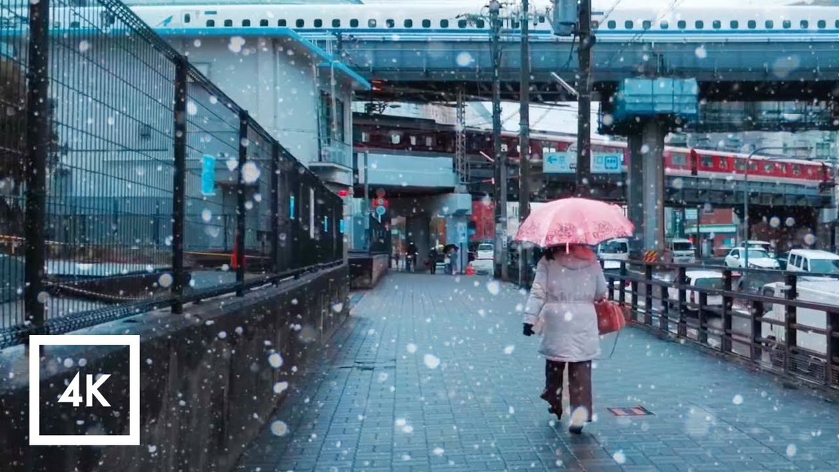 Snowfall Walk in #Kyoto, ...
 
alojapan.com/768611/snowfal…
 
#4kHdrJapanWalk #AmbienceSounds #AmbientSounds #AmbientSoundsForStudying