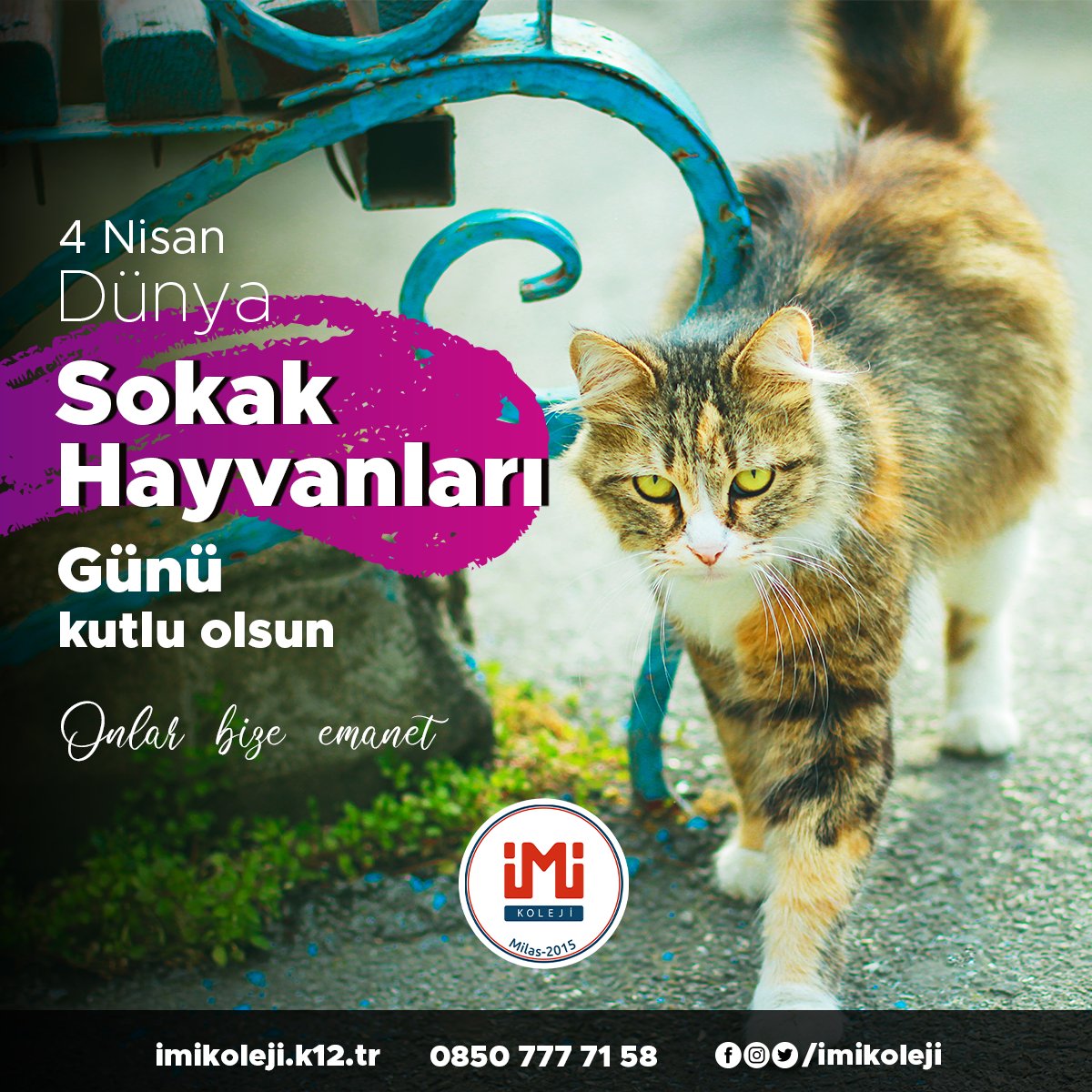 #4NisanSokakHayvanlarıGuenu